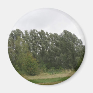 Imã Linha da Paisagem das Árvores de Manguarda