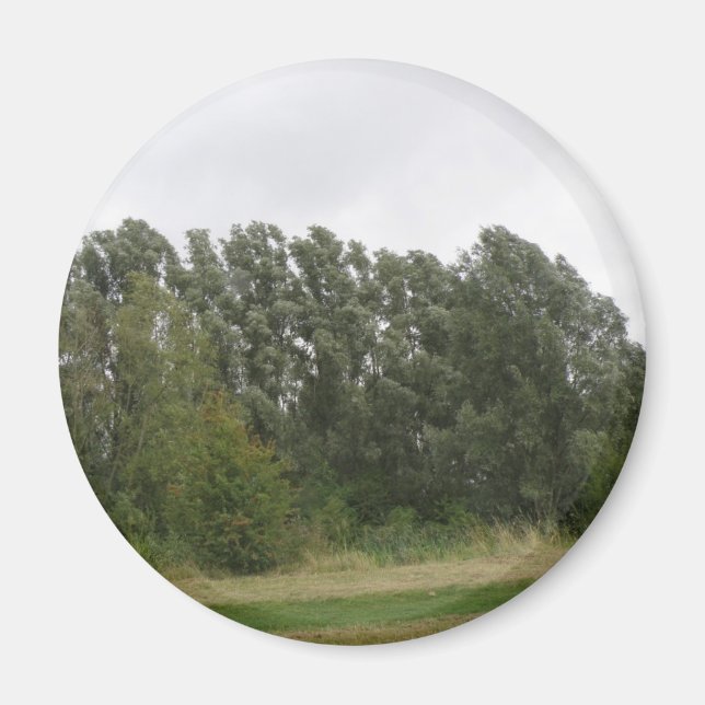 Imã Linha da Paisagem das Árvores de Manguarda (Frente)