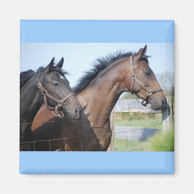 Imã Linha de Acabamento de Corrida de Cavalo (Frente)