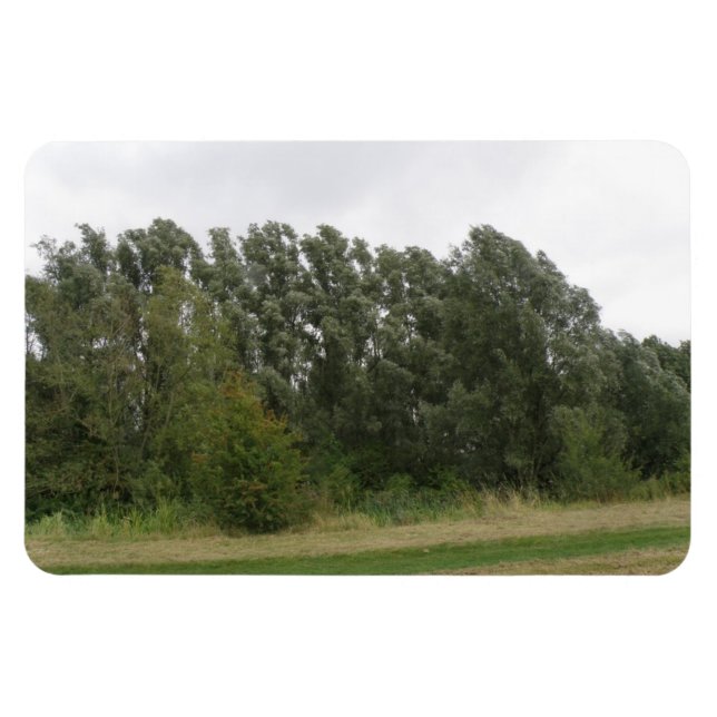 Ímã Linha de Árvores Adormecidas Paisagem Premium Magn (Horizontal)