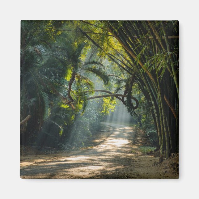 Imã Linhas de Bambu (Frente)