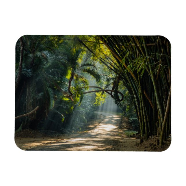 Ímã Linhas de Bambu (Horizontal)