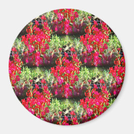 Imã Linhas de cravos...