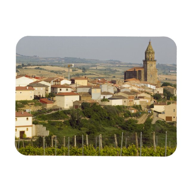 Ímã Linhas de videiras de uva no primeiro plano (Horizontal)