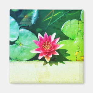 Imã Linho De Flores De Água Vermelhos Estilizada, Linh