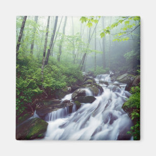 Imã Linn Cove Creek em cascata através da névoa
