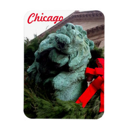 Ímã Lion do Sul no Instituto de Arte de Chicago