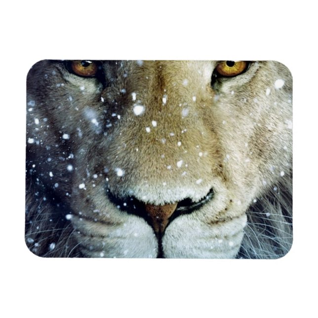 Ímã Lion of Judah - Rastafara reggae Rasta íman - (Horizontal)