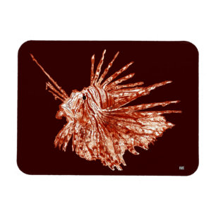 Ímã Lionfish