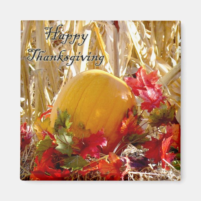 Imã Liquidado em Vermelho (Frente)