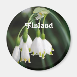 Imã Lírio de Finlandia do vale