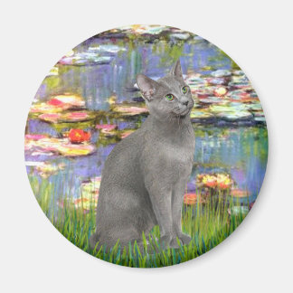 Imã Lírios 2 - Gato azul russo