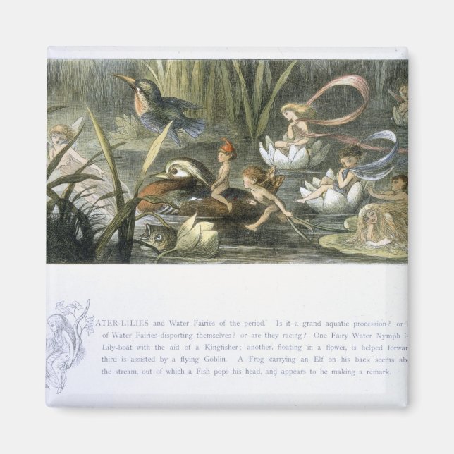 Imã Lírios-Água e Fadas-Água, ilustração de (Frente)