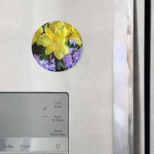 Imã Lírios Amarelos e Flores Lilases Roxos