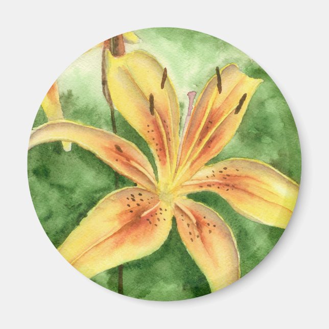 Imã Lírios amarelos no jardim (Frente)