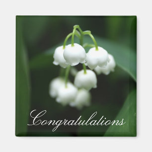 Imã Lírios brancos