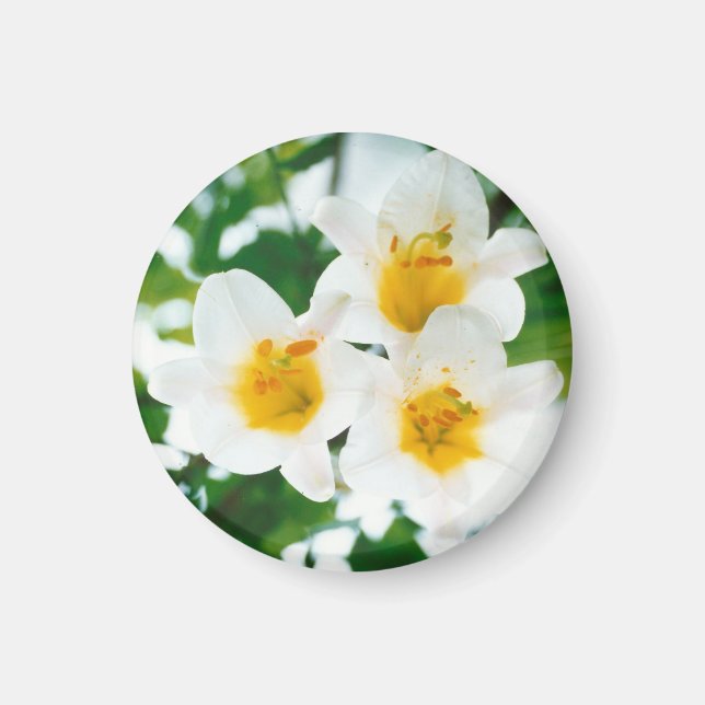 Imã Lírios brancos - Símbolo do amor (Frente)