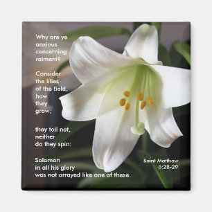 Imã Lírios do campo - ímã