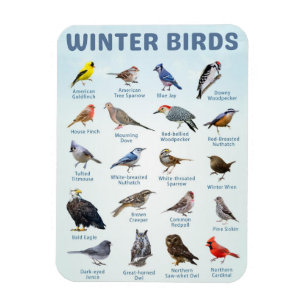 Ímã lista de aves de inverno em Michigan EUA