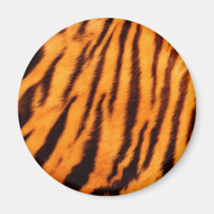 Imã Listras alaranjadas selvagens & vibrantes do tigre