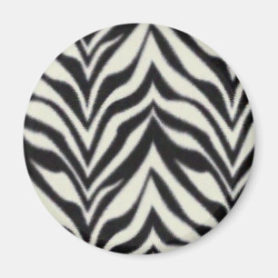 Imã listras da zebra