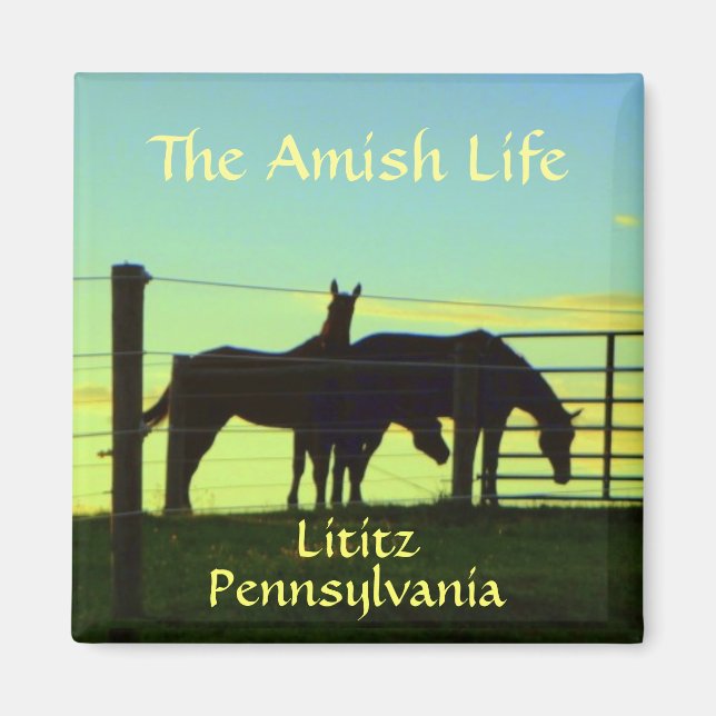 Imã Lititz! Cavalos Amish no Sunset. (Frente)