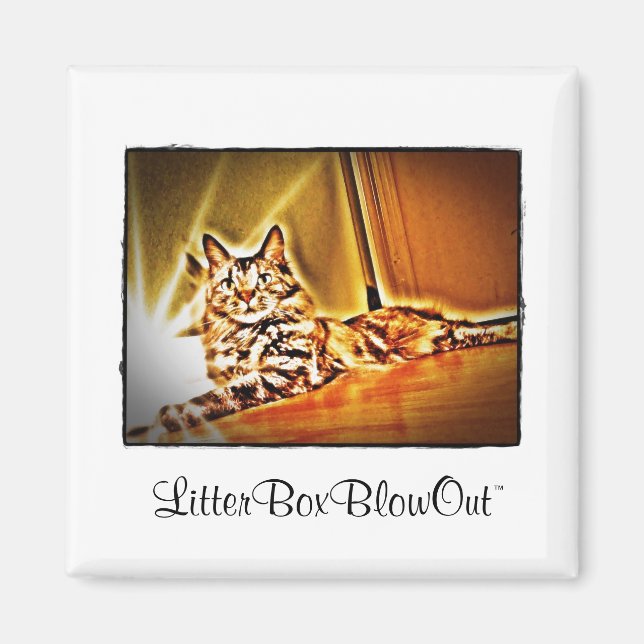 Imã LitterBoxBlowOut (Frente)