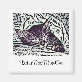 Imã LitterBoxBlowOut