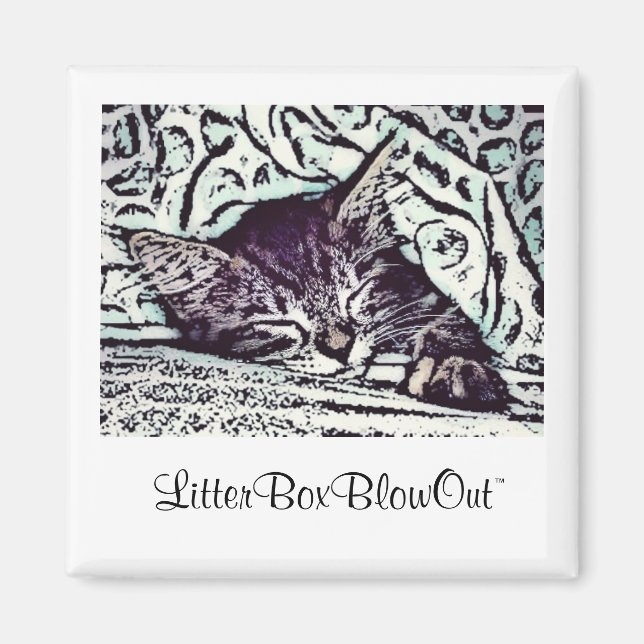 Imã LitterBoxBlowOut (Frente)