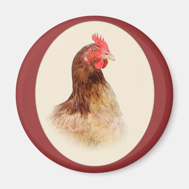 Imã Little Brown Hen Magnet (Frente)