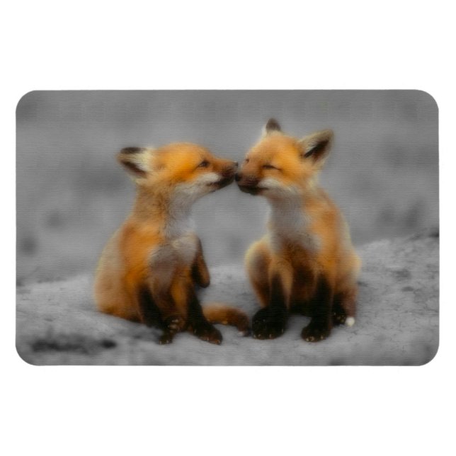 Ímã Little Fox Love (Horizontal)