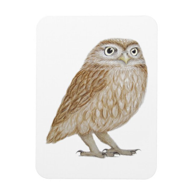 Ímã Little Owl 2011 (Vertical)