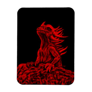 Ímã Little red Dragon