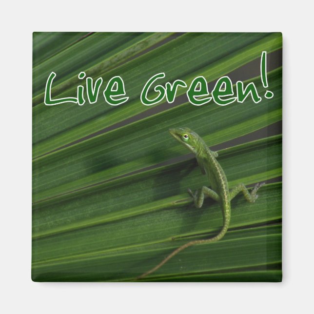 Imã Live Green Lizard Magnet (Frente)