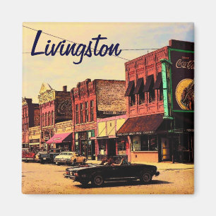 Imã Livingston Montana Magnet