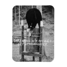 Lixo de lavagem do Urso Negro Selvagem