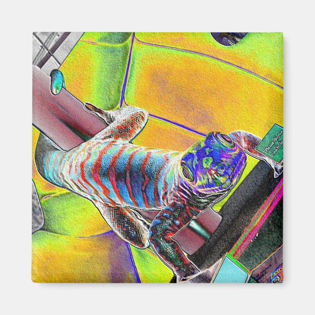 Imã Lizard fluorescente (Frente)