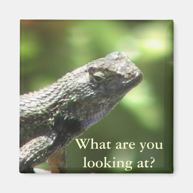 Imã Lizard Magnet (Frente)