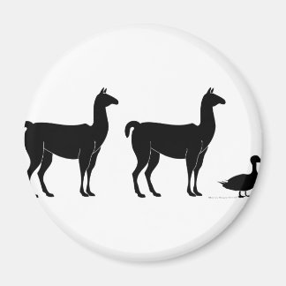 Imã Llama, Llama, Duck