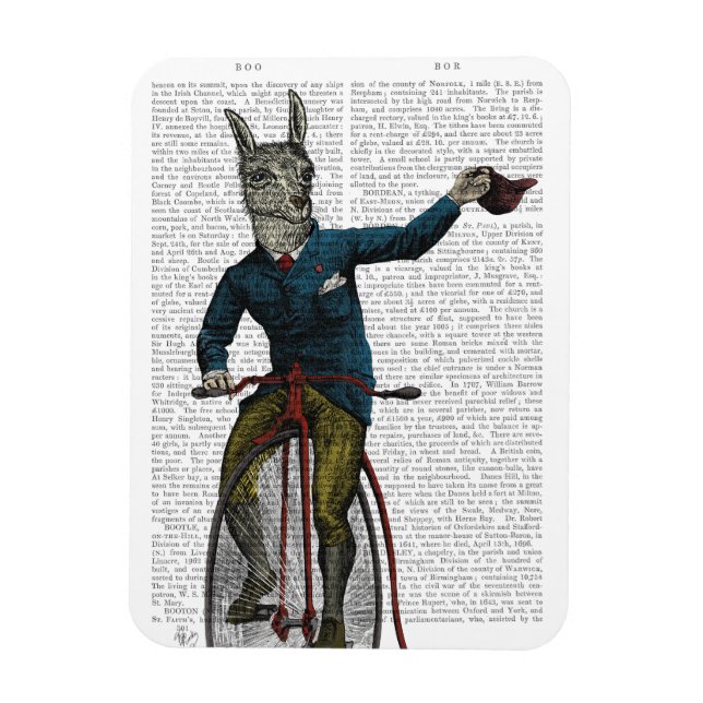 Ímã Llama sobre bicicleta (Vertical)