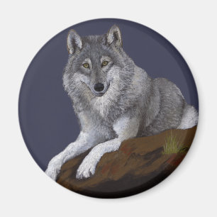 Imã Lobo