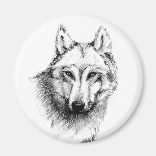 Imã Lobo