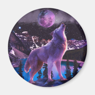 Imã lobo-cinza uivando na floresta