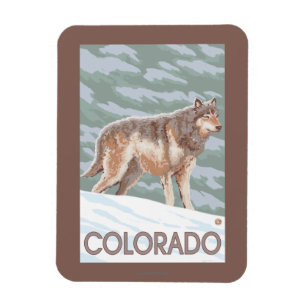Ímã Lobo cinzento StandingColorado