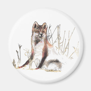 Imã Lobo de inverno