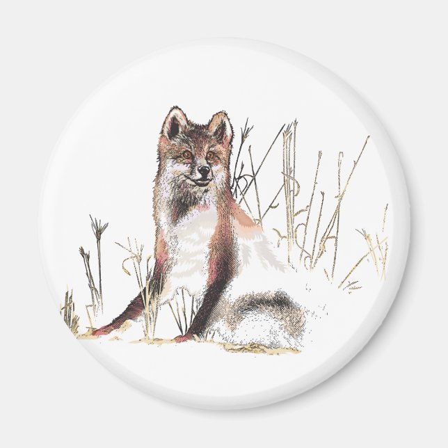 Imã Lobo de inverno (Frente)