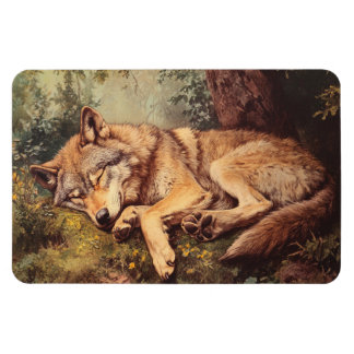 Ímã Lobo Dormindo Na Floresta