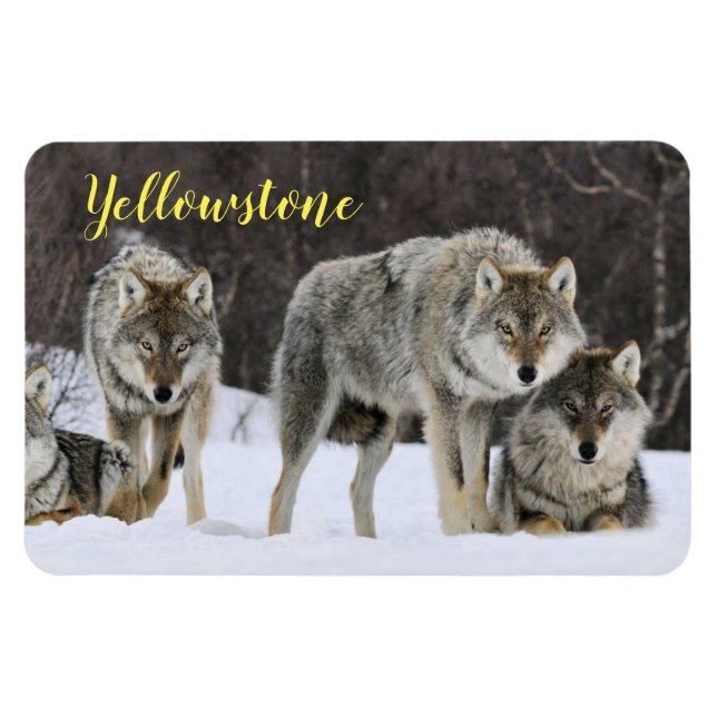 Ímã Lobo Magnet-Yellowstone (Horizontal)