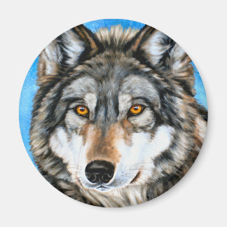 Imã Lobo Pintado