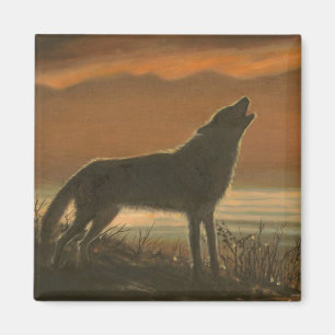 Imã Lobo solitário que holwing